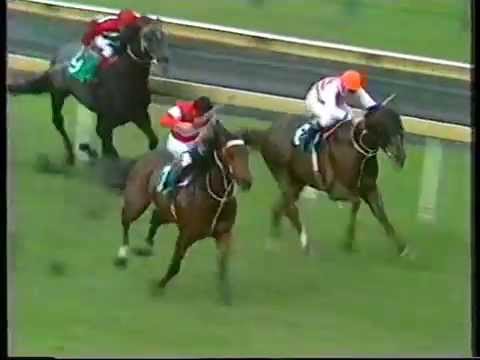 Red Tempo beating Strawberry Road in the 1983 Memsie Stakes