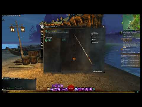 GW2 bug Report - 1