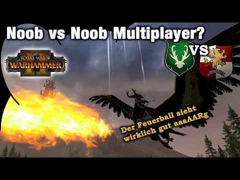 Noob vs Noob Multiplayer? Sieht auf jeden Fall gut aus. Waldelfen vs Imperium Total War: Warhammer 2