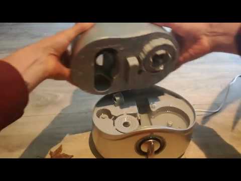 Digna ! help 😁 and a green update (no flowers) Tuesday 5-3-19