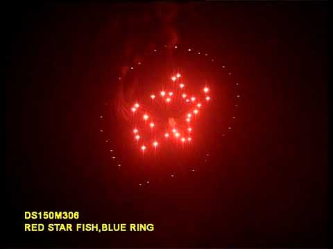 Red star fish blue ring spherical shell