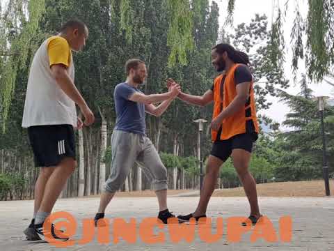 Xingyiquan the Jing Wu Method