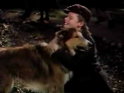 Lassie Come Home Trailer (1943)