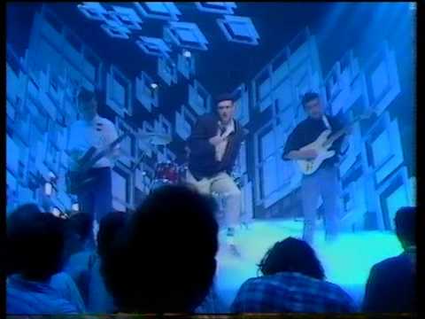 Curiosity killed the cat - ordinary day - totp original broadcast