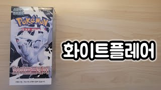화이트플레어 카드깡