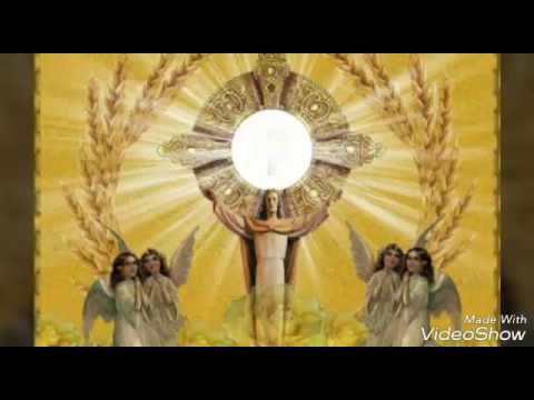 Rezo de La Dolorosa Pasión de Nuestro Señor Jesucristo