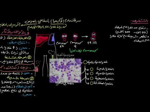 الصفوف المتقدمة الأحياء أمراض الدم سرطان الدم اللوكيميا النخاعي المزمن"},"assets":{"css":"\/yts\/cssbin\/player-vflOfTFXz\/www-player-rtl.css