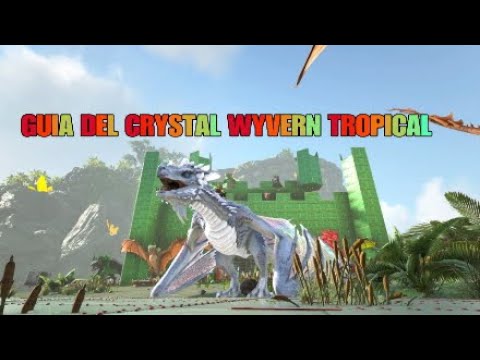 GUIA DEL CRYSTAL WYVERN TROPICAL