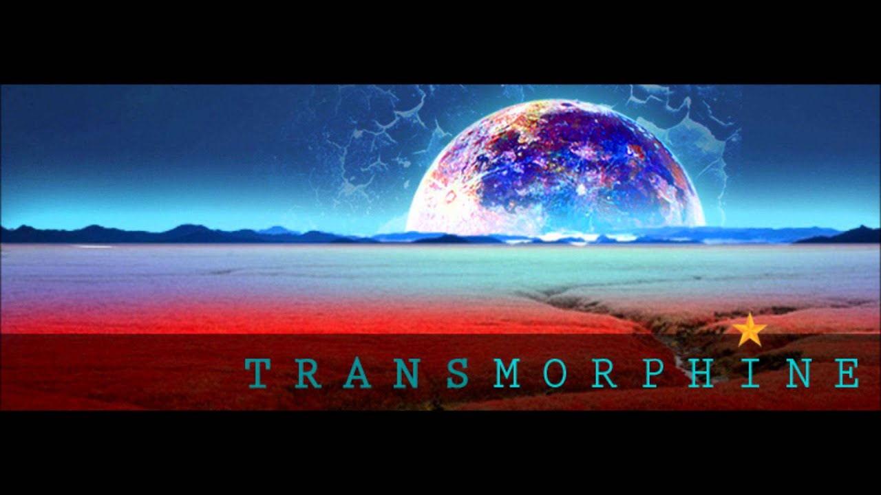 TRANSMORPHINE The Scar