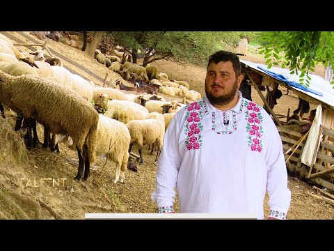 Talent și Efort. Stâna de la Chiojdu (08 10 2020)