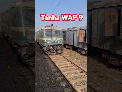 Akela WAP 9 on the way |#shorts #minivlog #ytshorts