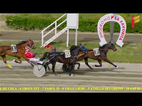 I Corsa del 24 Aprile 2022 - 4 Anni - Metri 2000 - Gentlemen