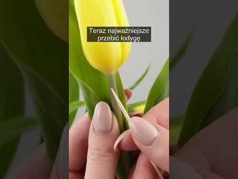 Zrób to z tulipanami po przyniesieniu do domu 🌷 Będą stały dniami!