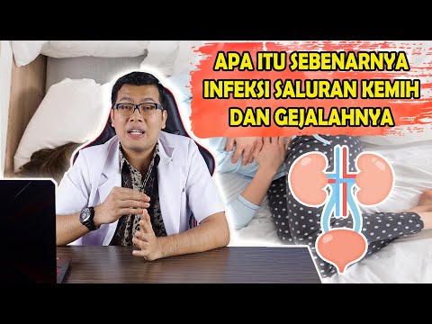 APA SIH SEBENARNYA INFEKSI SALURAN KEMIH DAN GEJALANYA - DOKTER SADDAM ISMAIL