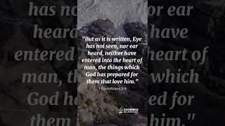 Verse of the Day: God's Plan is BIGGER Than You Imagine 🙏 (1 Corinthians 2:9)