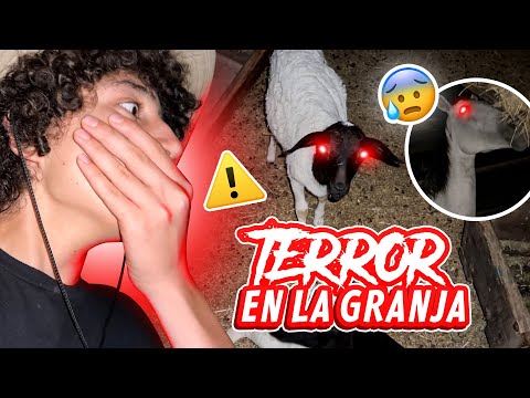 SOBREVIVÍ UNA NOCHE EN OTRA GRANJA @ParquePanaca  | LA GRANJA DEL BORREGO