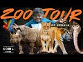 Tiger Cub Doing A Massage With Animals Kerala Zoo Tour KUTTI PULI NANBAN