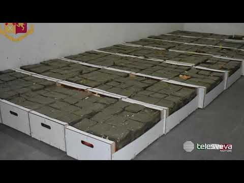 NOICATTARO | Quintali di droga nascosti tra aglio e cipolle: in manette coniugi albanesi