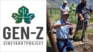 The Gen-Z Vineyard Project - planting of cartonage Chenin Blanc in Breedekloof