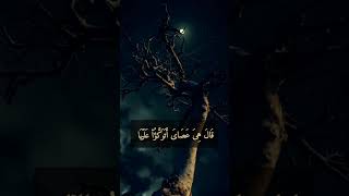 { وَمَا تِلۡكَ بِیَمِینِكَ یَـٰمُوسَىٰ } البهتيمي آيات من سورة [سُورَةُ طه]