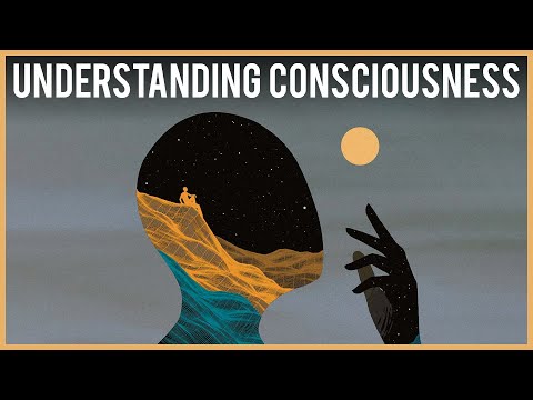 What Is Consciousness? - Philip Goff | Modern Wisdom Podcast #272