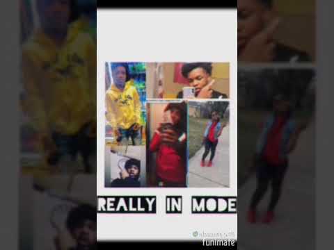 Zacco loww x Knotsmacker eli x ttg zavy x ymc javi x kalea p  - really in mode