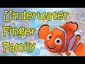Underwater Finger Family Song Family Nursery Rhymes Super Simple Songs For Kids