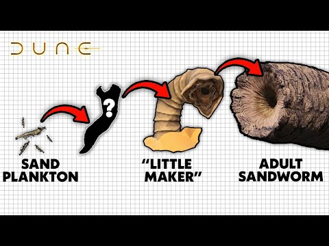 DUNE - How Big Do Sandworms Get?