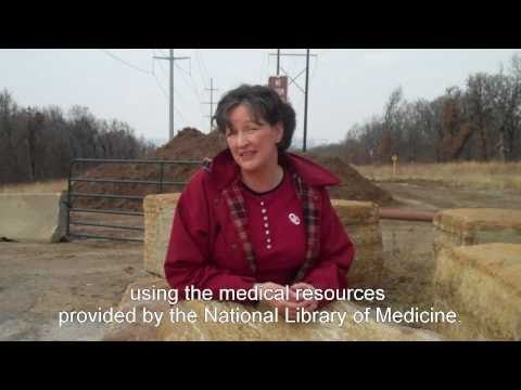 Medlineplus Making A Difference Every Day Avi