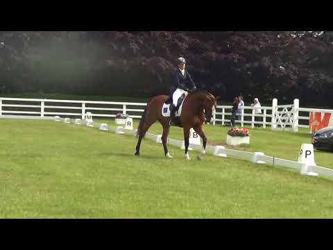 Mr Bean 37 Tattersalls CCI1* Dressage