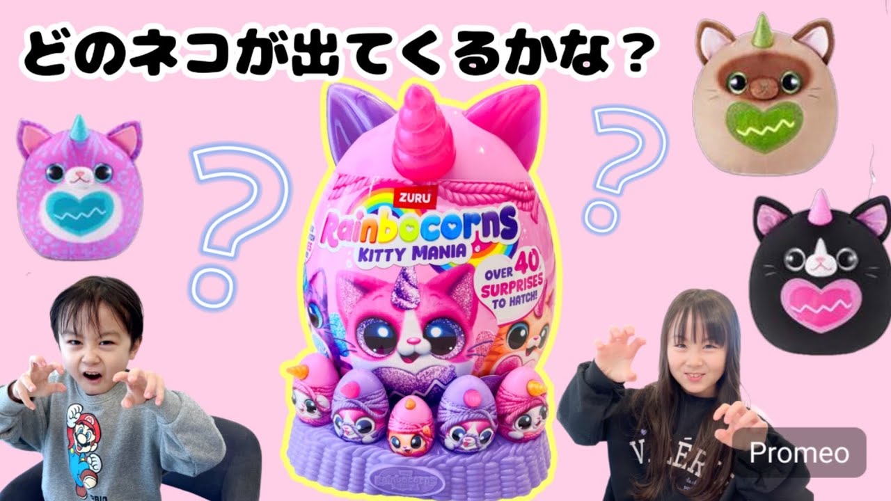 どのネコに会えるかな？レインボーコーンズ開封してみた！