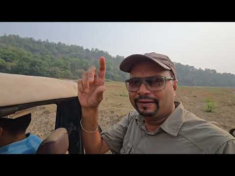 खुली जिप्सी में घुसे जंगल… Rajaji Tiger Reserve Safari  , Gypsy Safari In Rajaji National Park