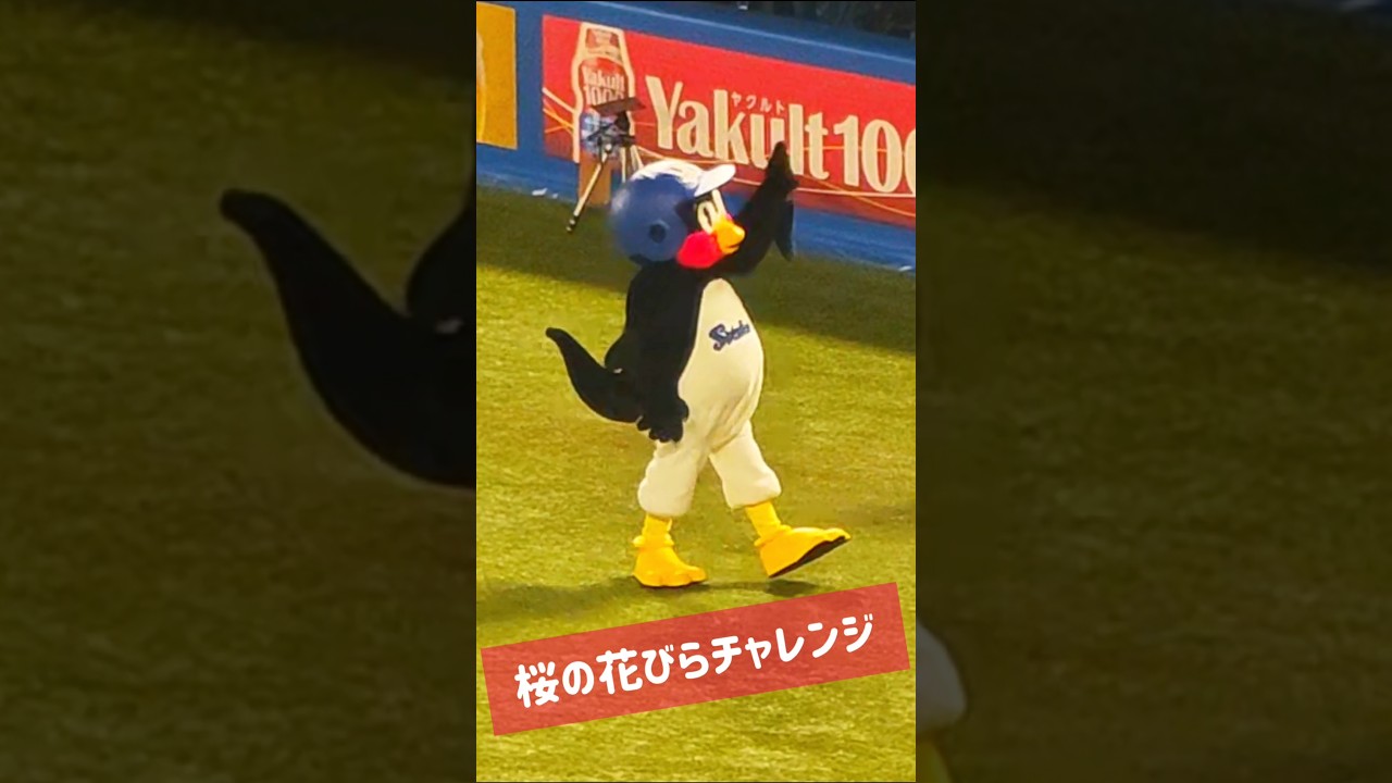 春限定！！つば九郎の出現する瞬間に桜の花びらが舞う🌸🍃　#shorts  ＃つば九郎