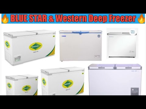 Western Deep Freezer D525H-HC 525LTR