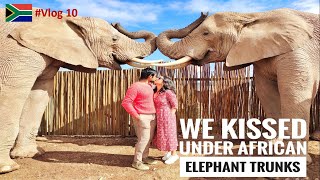 Royal Greetings by Elephants in Oudtshoorn South Africa | We kissed under Elephants | Wilderness 🇿🇦