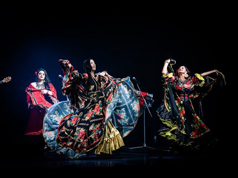 ANDO VERDE (Čigānu dziesma) - AME ROMA & vijolnieks Aleksejs KOĻESŅIKOVS - SPLENDID PALACE - GIPSY