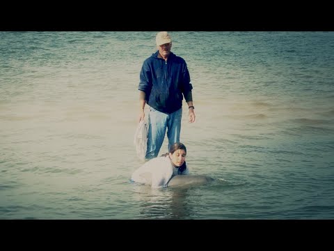 Emotional Reunion for Fisherman Who Helped Save Winter the Dolphin