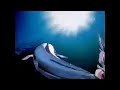 Iklan Indosiar Ikan Bisa Terbang Iklan Jadul 90an Indosiar