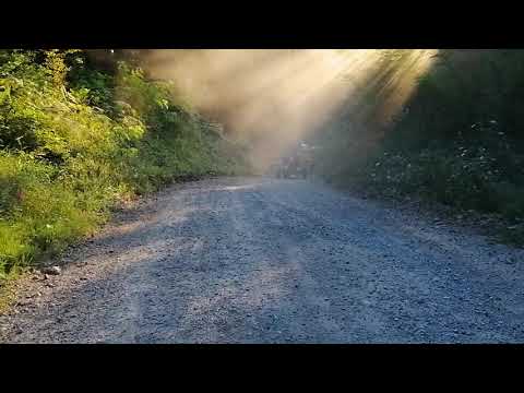 IMT 542 I 6 metara drva u brdo 🚜🔥