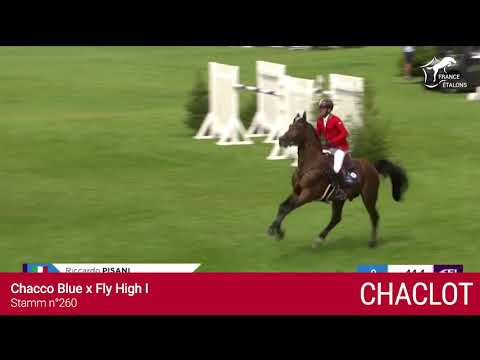 CHACLOT - France Etalons