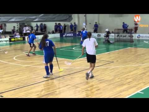 Unihoc Riga Cup 2014: LiepU - Rigas Lauvas 2:3 (14.08.2014)