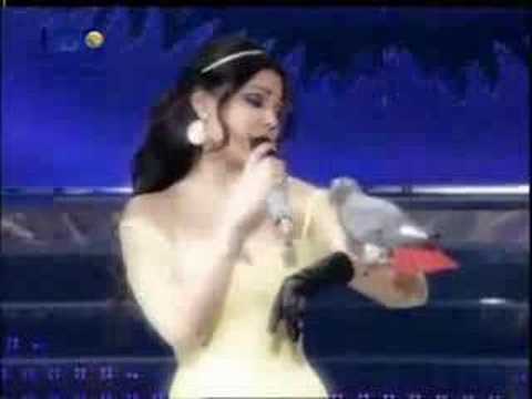 haifa wehbe star academy