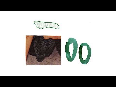 Cuisine Dub - Mating Call