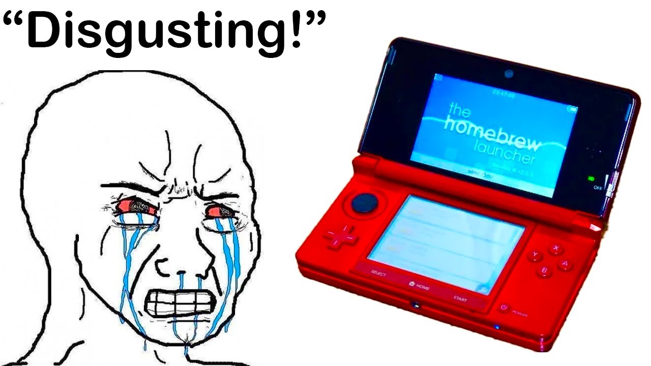 Why You Should NOT Mod Your 3Ds
