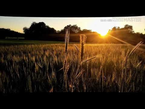 Adoramus - Un Cânt Frumos