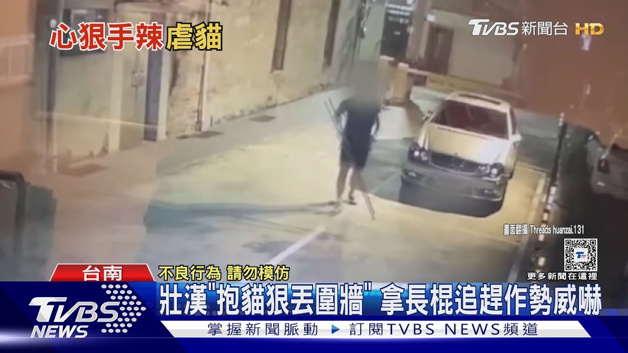 不滿愛貓和浪浪打架!男氣到教訓貓竟「狠丟圍牆」