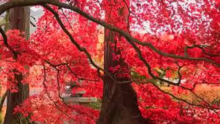 Download lagu Bhaity Music Company mp3 Download lagu Bhaity Music Company mp3