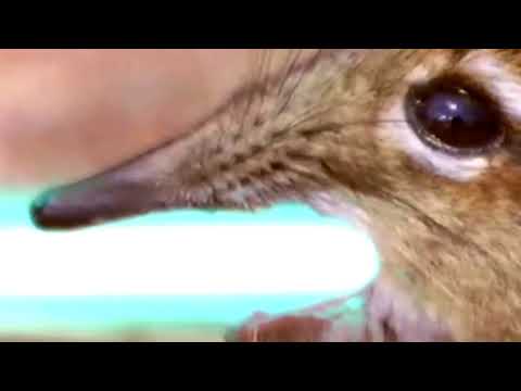 download lagu mp3 mp4 Take A Closer Look At That, download lagu Take A Closer Look At That gratis, unduh video klip Take A Closer Look At That