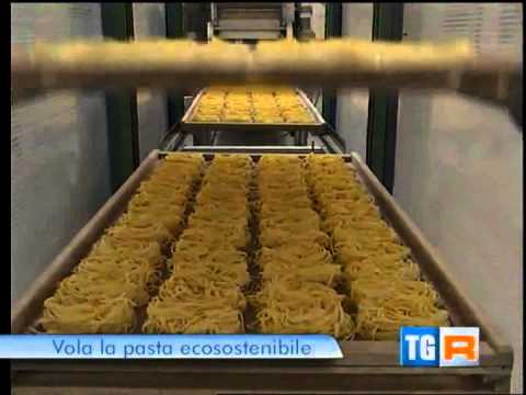 TGR Marche - Servizio del 4 Febbraio 2013