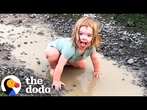 Baby Girl Is Being Raised By Six German Shepherds | The Dodo